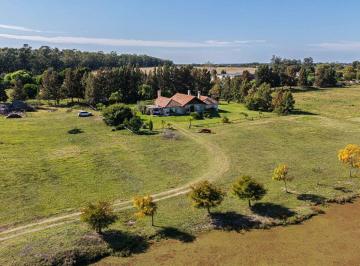Campo · 280ha · Venta de Chacra La Montañesa Canelones