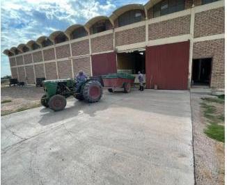 Bodega-Galpón , Santa Rosa · Bodega con Viñedo en Venta en Santa Rosa, Mendoza.