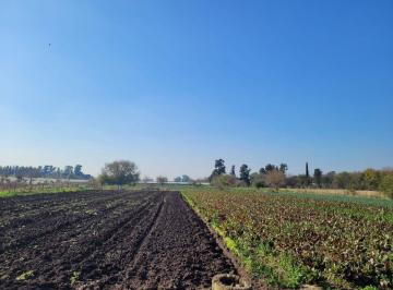 Campo · 120ha · Campo en Venta Arturo Segui Zona El Peligro