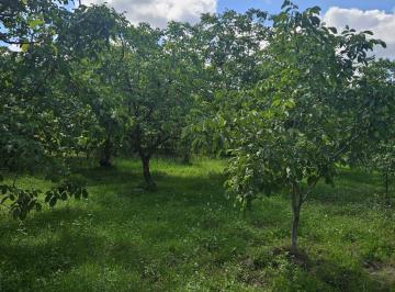 Campo , Tupungato · Finca en Venta en Tupungato, Mendoza.