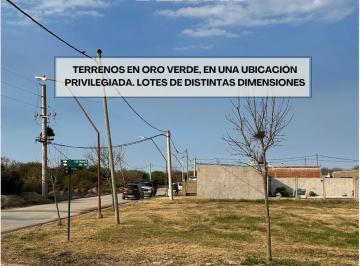 Terreno · 300m² · Terrenos en Oro Verde