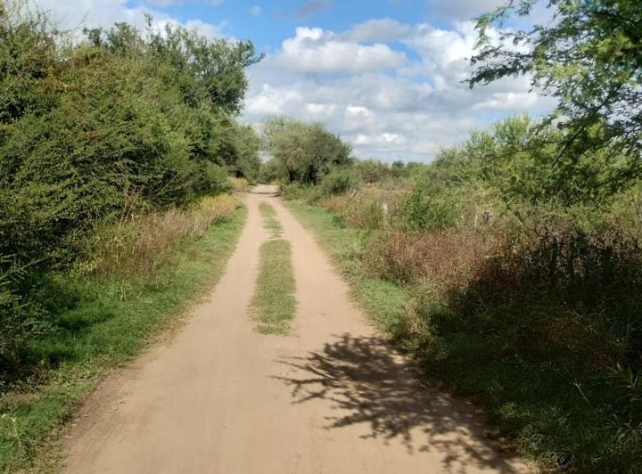 Campo · 50000m² · 1 Ambiente