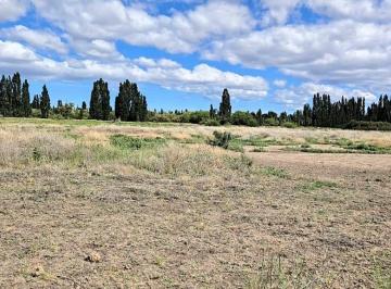Campo · 5ha · Propiedades Rurales - Chacra - Gaiman