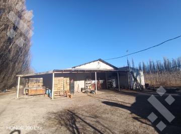 Campo · 500000m² · Alquiler Chacra en Centenario
