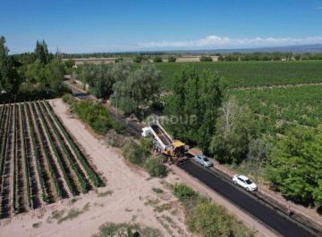 Terreno · 120000m² · Finca en Venta en Lujan de Cuyo