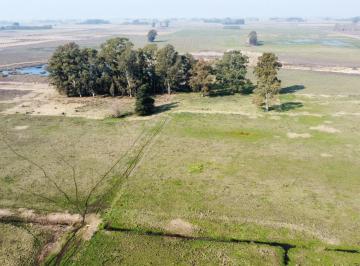 Campo · 360000m² · Campo en Cazon, Sobre Ruta 205 Km 174