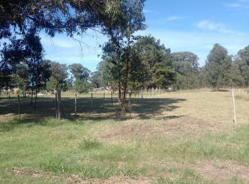 Terreno , Necochea · 175 E/58 Y60 - Lote en Venta en Necochea