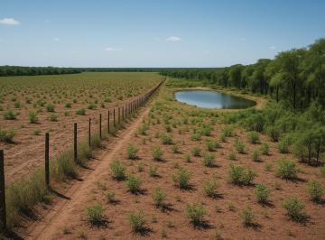 Campo · 4890000m² · 1 Ambiente · Campo Pinto