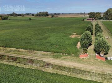Campo · 85000m² · Campo en Roque Perez "Paraje Forastieri"