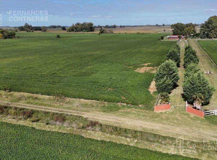 Campo · 85000ha
