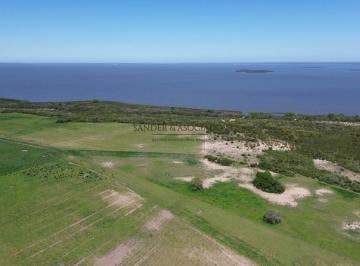 Campo · 37ha · Venta Campo en Carmelo con Costa