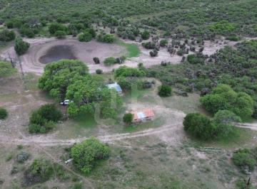 Campo , San Pedro Norte · Campo Mixto, San Pedro Norte, Córdoba