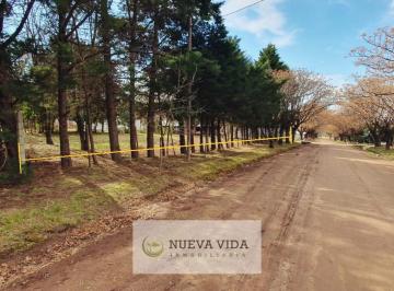 Terreno , Santa Rosa de Calamuchita · Venta de Terreno en San Ignacio, Valle de Calamuchita