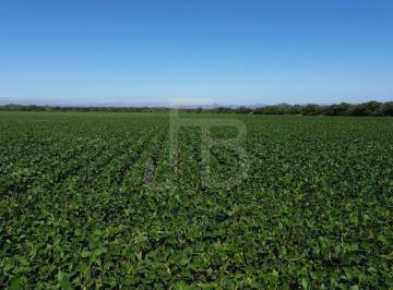 Campo , Sarmiento · Campo Agrícola en Venta en Córdoba 118 Ha en Sarmiento