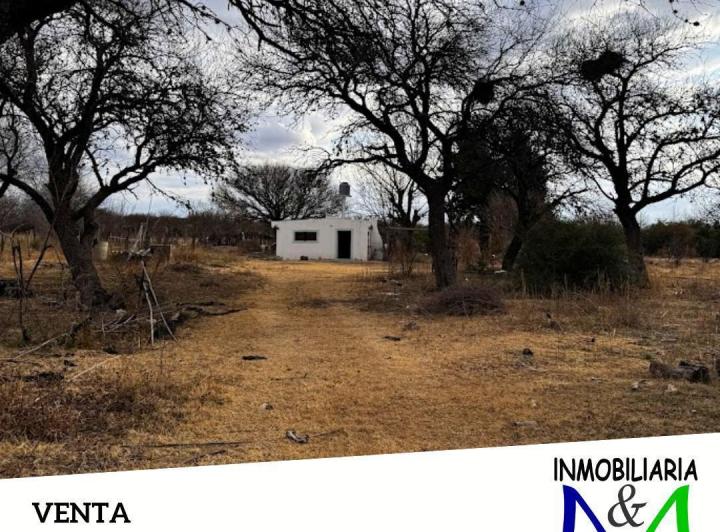 Campo · 77m²