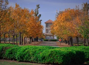 Terreno , Piñero · Terreno en Esquina en La Carolina Golf y Country Club