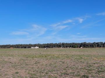 Terreno · 2491m² · Lote 2491, 56 m² en Venta en B° Chacras de San Andrés, Luján