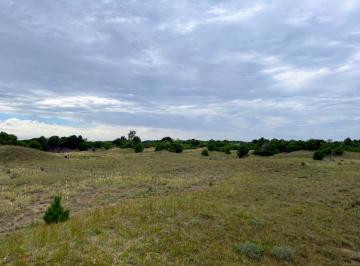 Terreno , Las Gaviotas · 71.800 m² en Las Gaviotas – Ideal Para Desarrollo Inmobiliario
