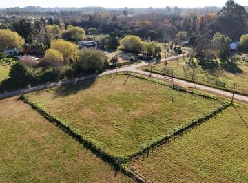 Terreno · 2000m² · Terreno en Lobos