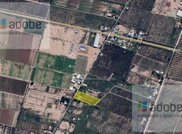 Campo · 1ha · Finca en Santa Fe 8810 - Rodeo del Medio - Maipu