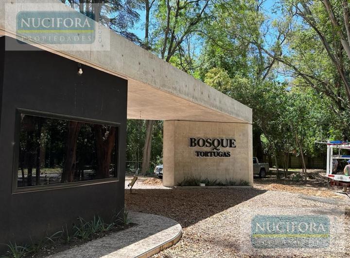 Desarrollo vertical · Bosque Tortugas