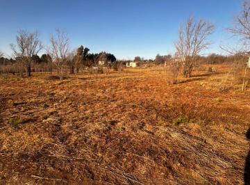 Terreno , Los Reartes · Invertí en Los Reartes: Lote Disponible en El Exclusivo Barrio Las Felicitas