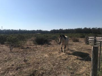 Terreno · 13943m² · Terreno en El Aduar, Provincia de Buenos Aires