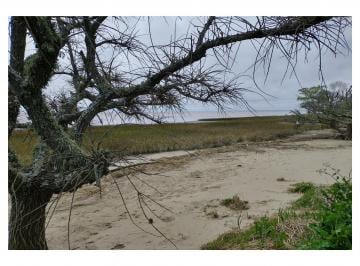Terreno , Punta Indio · 15 Terrenos en Punta del Indio - U$s 99.000