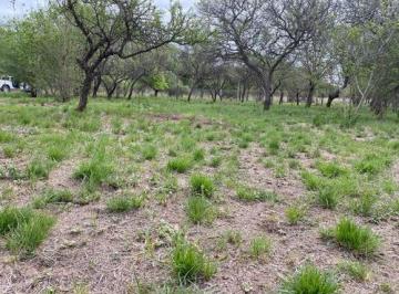 Foto · Venta Terreno Lote Santa Mónica