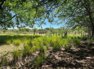 Foto · Venta Campo Villa Quillinzo (40ha)