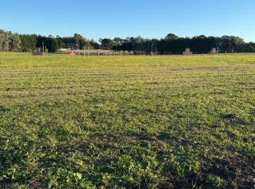 Terreno · 620m² · Terreno a La Venta en Barrio Privado Casonas del Haras