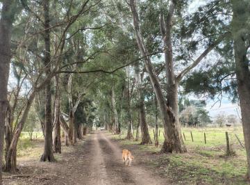 Campo · 47ha · Campo de 46,84 Ha en Venta en Pilar