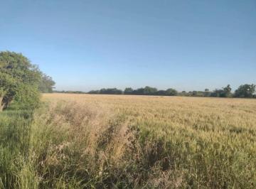 Campo , Recreo · Campo de 6 Has en Venta en Recreo Sur