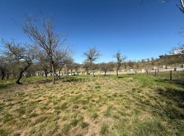 Terreno · 1029m² · Hermoso Lote - Country Alta Gracia Golf - 1029 m²