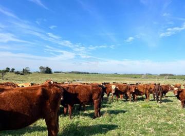 Foto1 · Campo en Partido Norte Frente a Camino