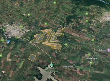 Campo · 1ha · Venta Campo Hasta 530 Hás - Canelones Sobre Ruta 62