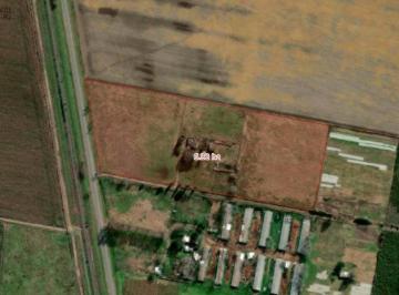 Campo · 63200m² · Campo de 6ha en Maciel, Santa Fe