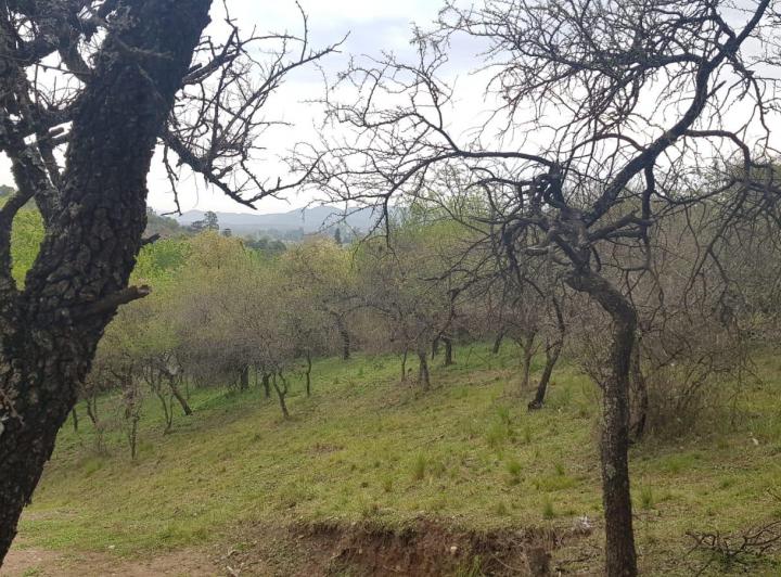 Terreno · 506m²