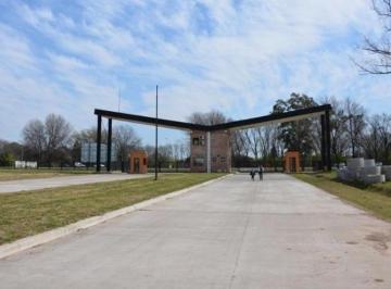 Bodega-Galpón · 1297m² · ## Naves Industriales en Parque Industrial Moreno 2