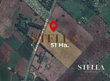SIA-SIA-268_2 · Fraccion 51 Has en Venta Cañuelas