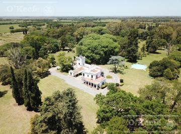 Campo · 1300m² · 8 Dormitorios · Campo en Venta de 80 Has en Gualeguay Entre Rios, Casco Histórico - Turismo Rural