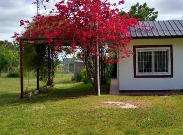 Casa de 5 ambientes, Villa Urquiza · Quinta - Villa Urquiza.