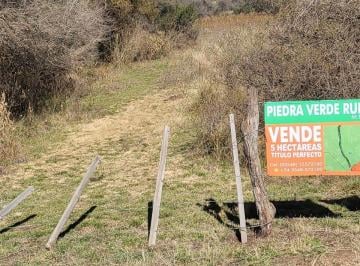 Entrada sobre ruta 17 · Campito de 5 Ha / Valle de Ongamira