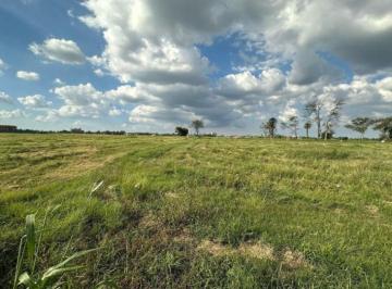 Terreno · 645m² · Lote en Venta en Bella Vista, Village Plaza