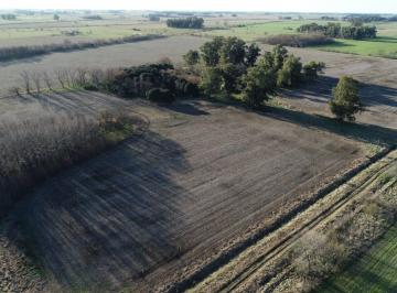 Campo , Lobos · Venta 26 Ha. Lobos