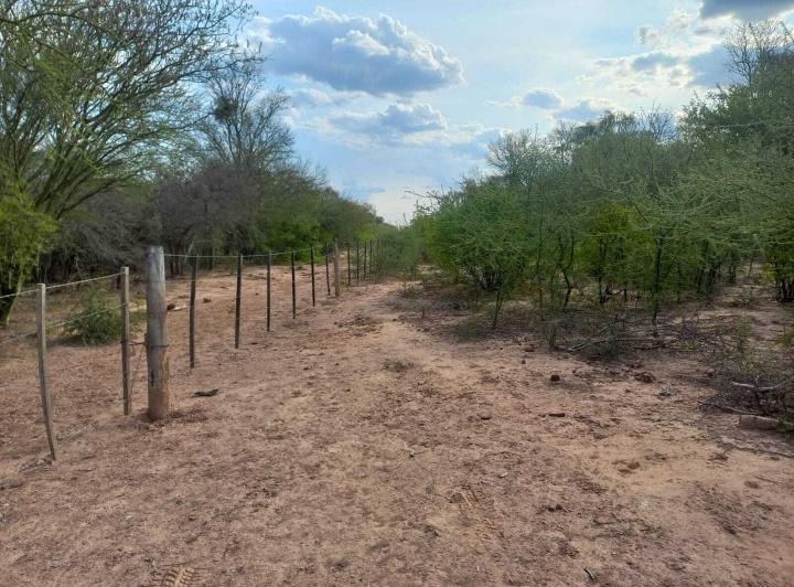 Campo · 2749m²