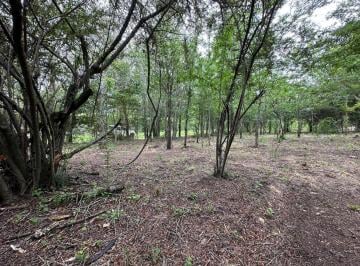 Terreno · 850m² · Terreno Camino del Cuadrado Valle Hermoso