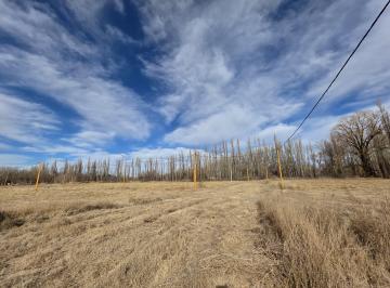 Terreno , Centenario · Venta de Terreno Loteo Emilce, Neuquén Centenario.