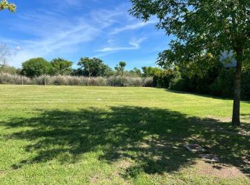 Terreno · 550m² · Terreno en Araucarias / Puertos