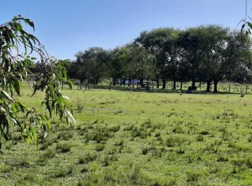 Terreno · 36356m² · Terreno Rural en Venta en Alsina, Baradero
